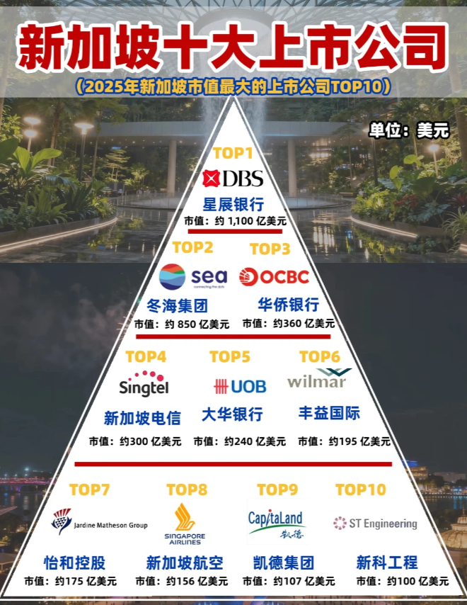 2025新加坡十大上市公司