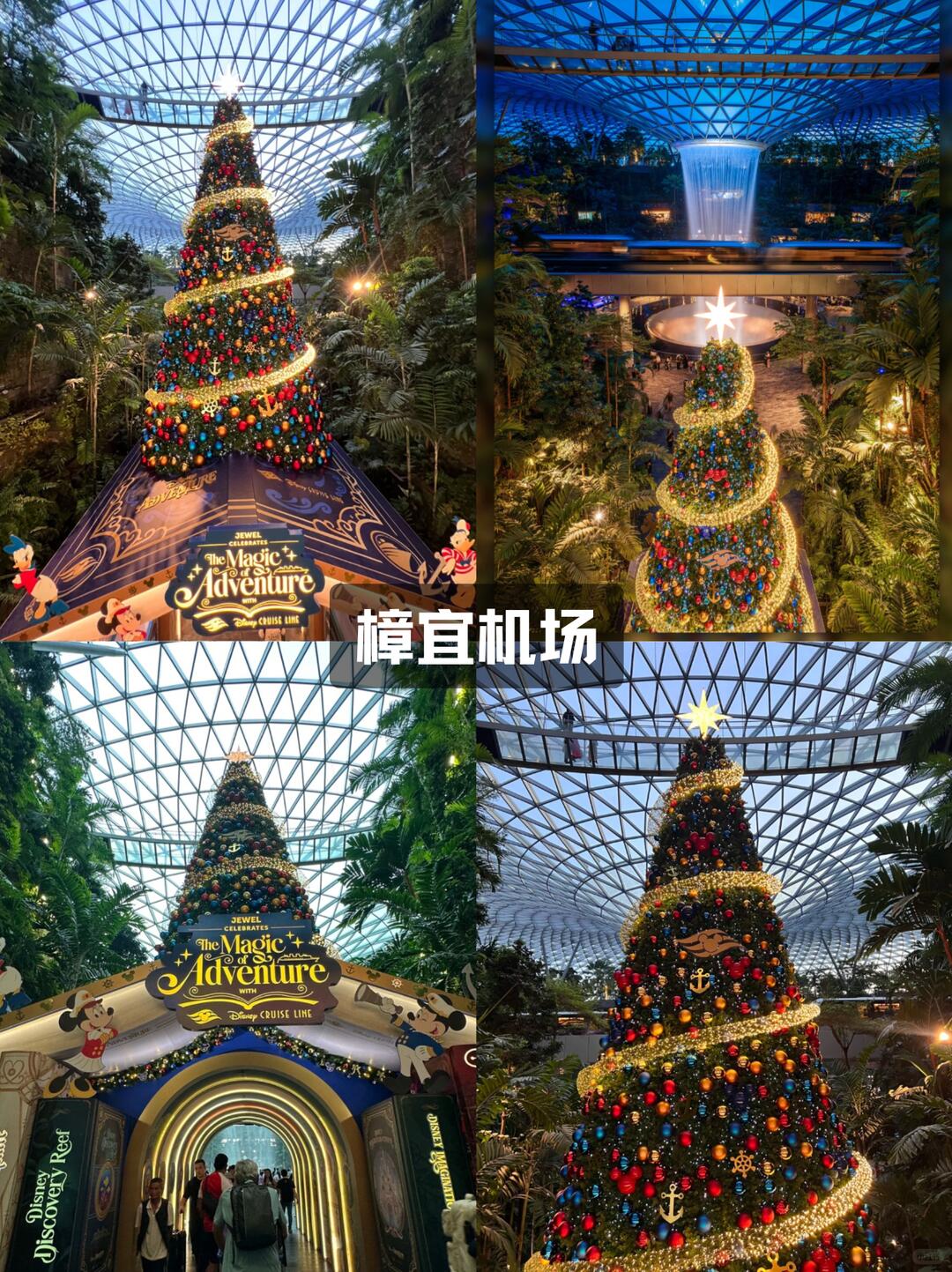 2025新加坡圣诞节打卡点